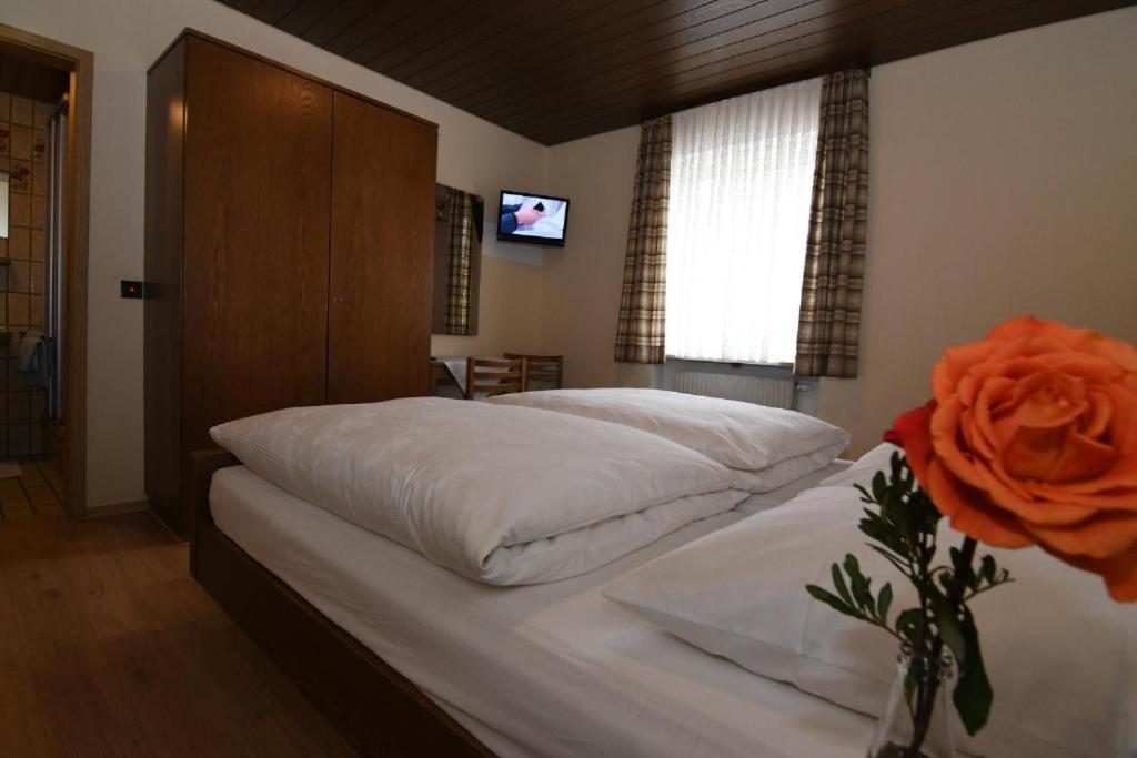 Hotel Landgasthof Grüner Baum Regnitzlosau